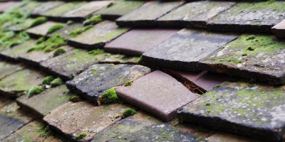 Elm roof repair costs